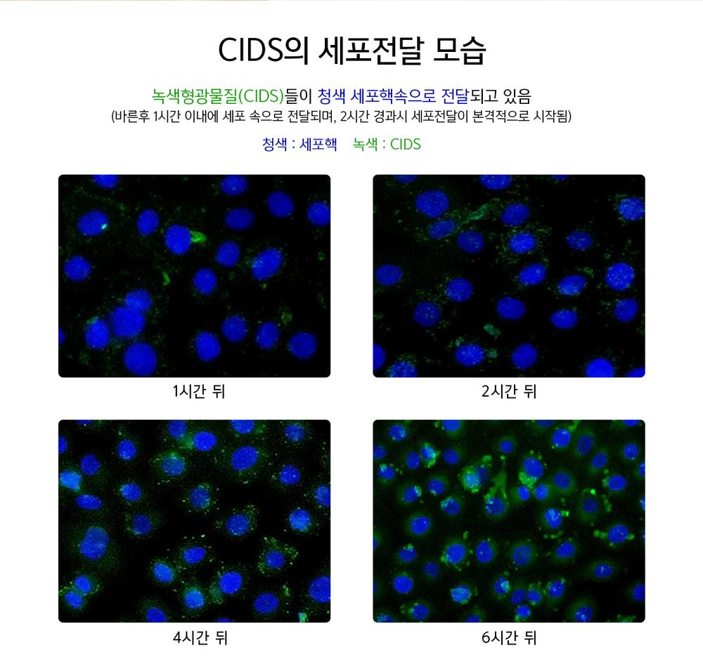 3695294320_kFIRXyEK_db39fbddadaeb4c53d2b3595e0645c4f6c8bec53.jpg 이미지크게보기