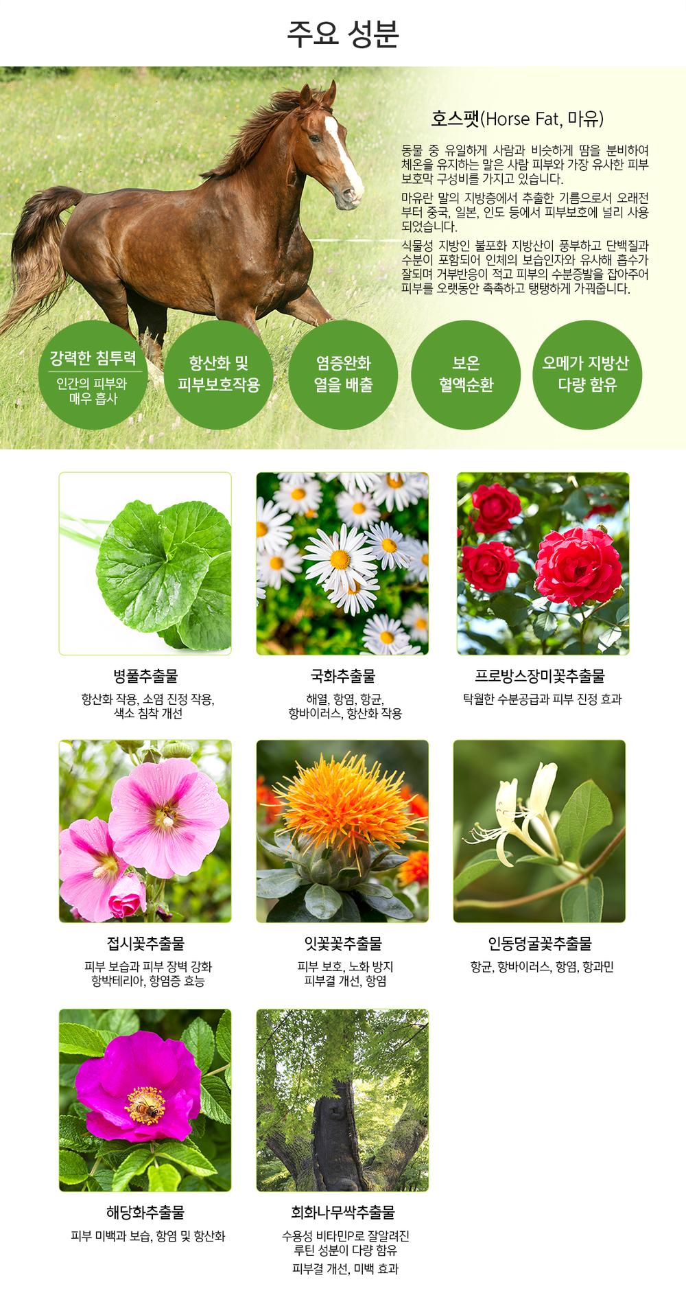 3695294320_wrhtxsLN_05857c45e5d87168a2627258393e228b661c8fcd.jpg 이미지크게보기